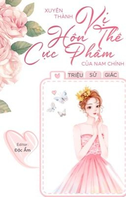 Xuyên Thành Vị Hôn Thê Cực Phẩm Của Nam Chính (Dịch)