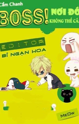 Boss, Chỗ Đó Không Thể Cắm Đâu