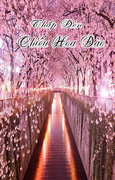 Thắp Đèn Chiếu Hoa Đào (Dịch)